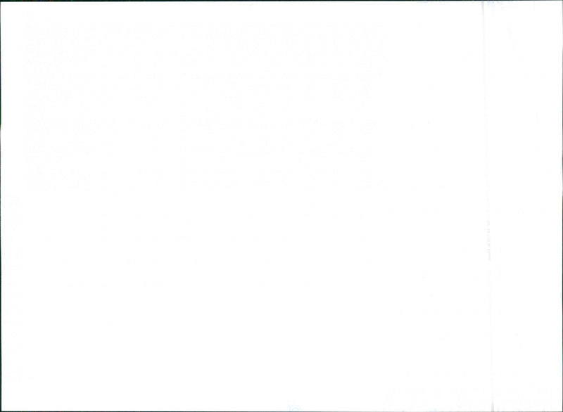 1990 Seat Malaga - Vintage Photograph