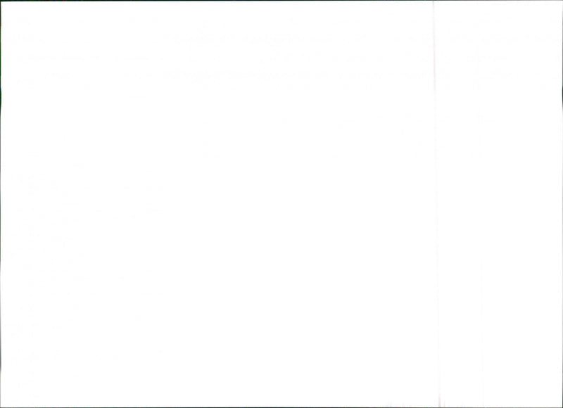 Seat Ibiza - Vintage Photograph