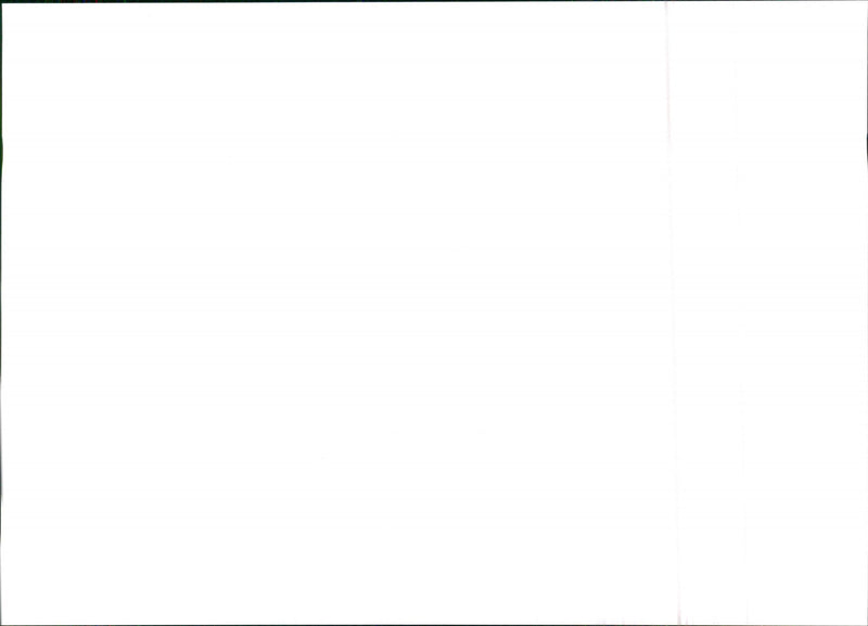 Seat Ibiza - Vintage Photograph