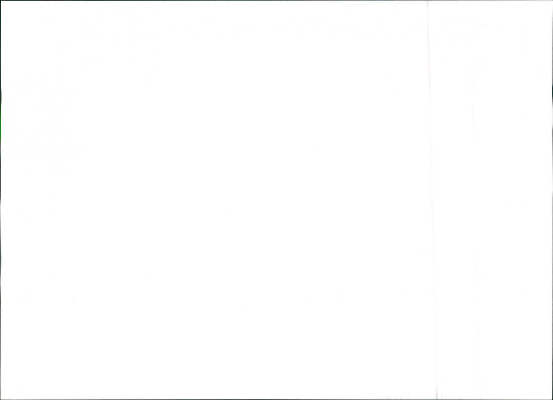 Seat Ibiza - Vintage Photograph