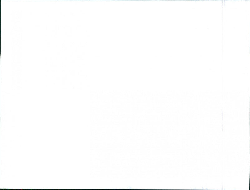 1990 Seat Terra
Sociedad Española de Automóviles de Turismo - Vintage Photograph