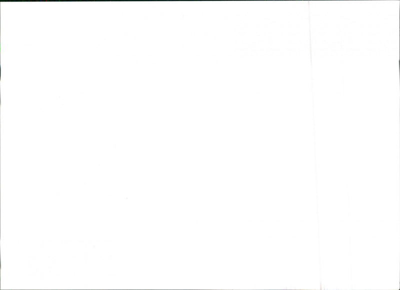 Seat Ibiza - Vintage Photograph