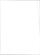 Fiat Uno Turbo - Vintage Photograph