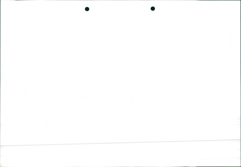 Mercedes Benz 200/ 200 T - Vintage Photograph