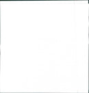 Volkswagen Concept 1. - Vintage Photograph