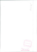 NSU/Fiat Primula - Vintage Photograph