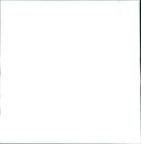 Volkswagen Concept 1. - Vintage Photograph