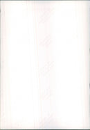 Bertone, Ascot, Jaguar XJS - Vintage Photograph