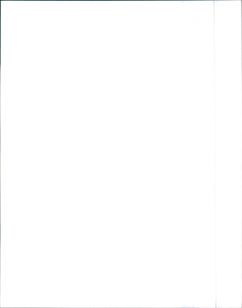 1996 Audi A6 Quattro - Vintage Photograph