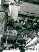 Volkswagen - Vintage Photograph