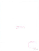 Peugeot 204 Berline Grand Luxe 1969 - Vintage Photograph