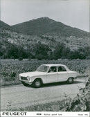 Peugeot 204 Berline Grand Luxe 1969 - Vintage Photograph