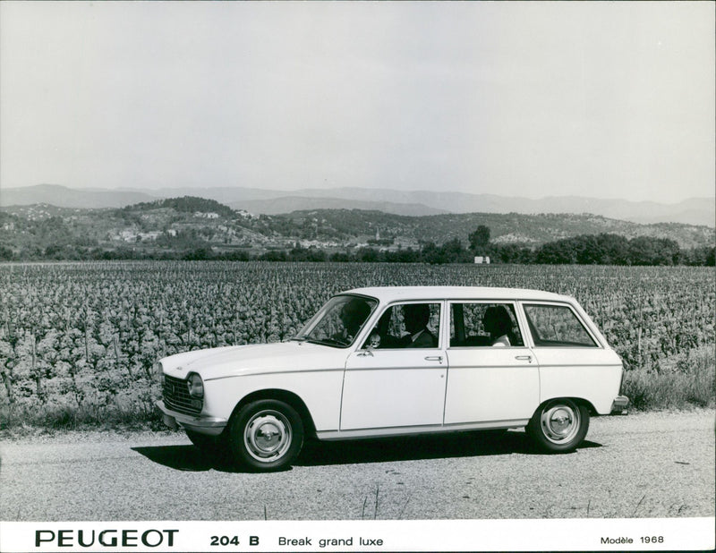 Peugeot 204 Break Grand Luxe 1968 - Vintage Photograph
