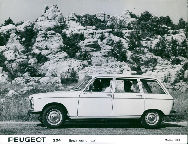 Peugeot 204 Break Grand Luxe 1969 - Vintage Photograph