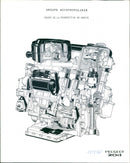 Peugot 204 - Vintage Photograph