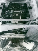 Peugeot 204 - Vintage Photograph