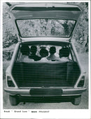 Peugeot 204 Break Grand Luxe - Vintage Photograph