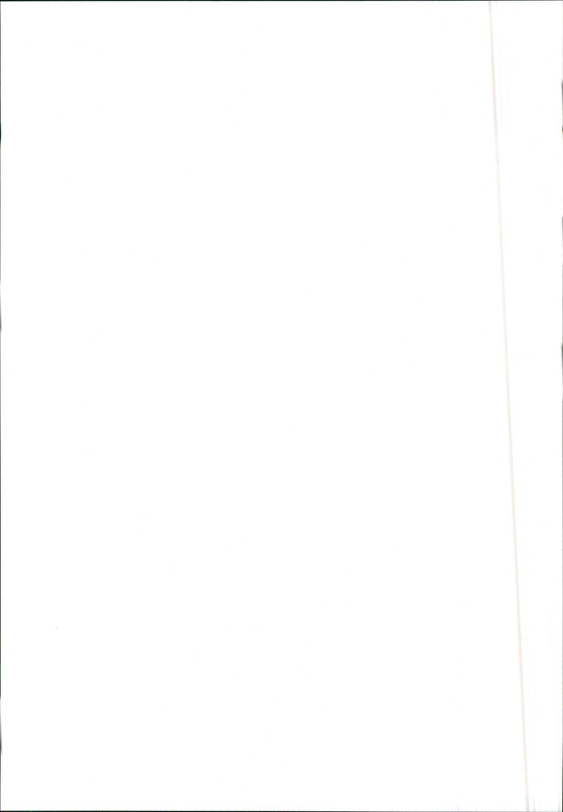 Seat Marbella '86 - Vintage Photograph