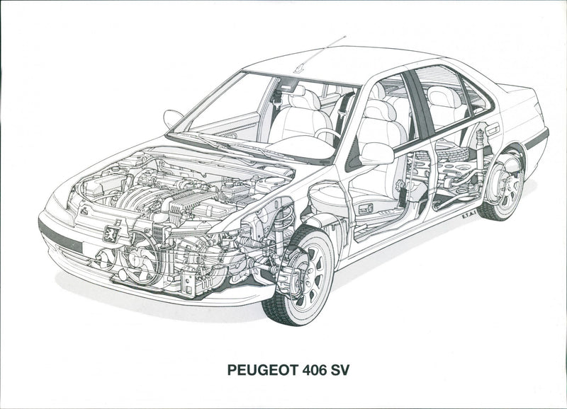 Peugeot 406 SV - Vintage Photograph