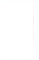 1991 Volkswagen - Vintage Photograph