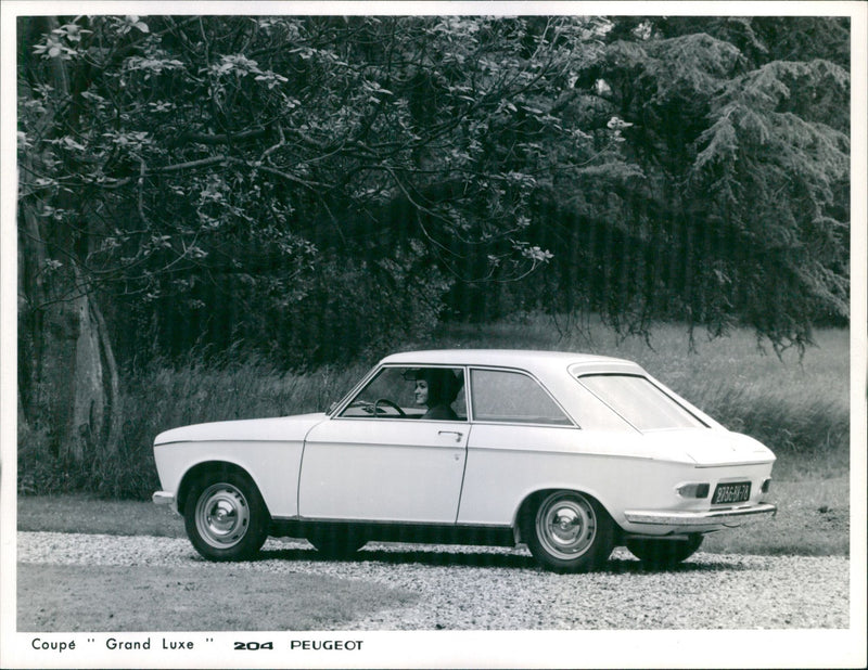 Peugeot 204 Coupe Grand Luxe - Vintage Photograph