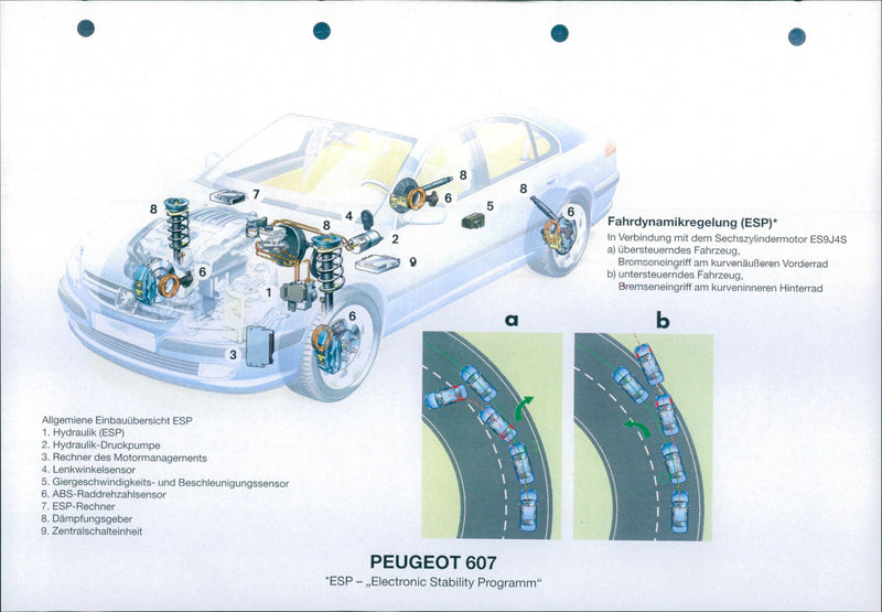 Peugeot 607 - Vintage Photograph