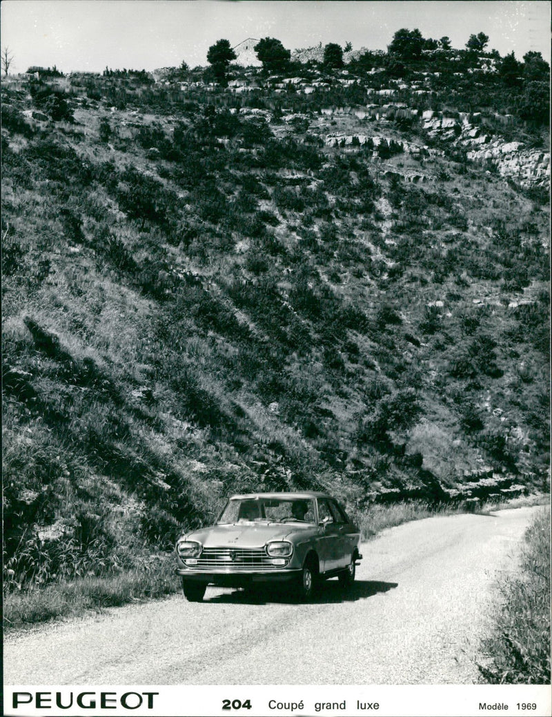 Peugeot 204 Coupe Grand Luxe 1969 - Vintage Photograph