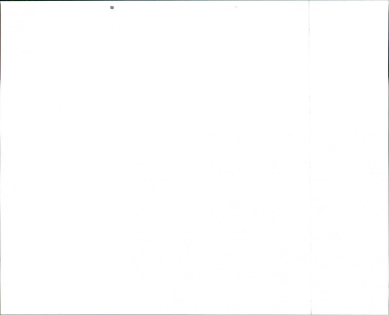 1990 Pontiac Lemans GSE - Vintage Photograph