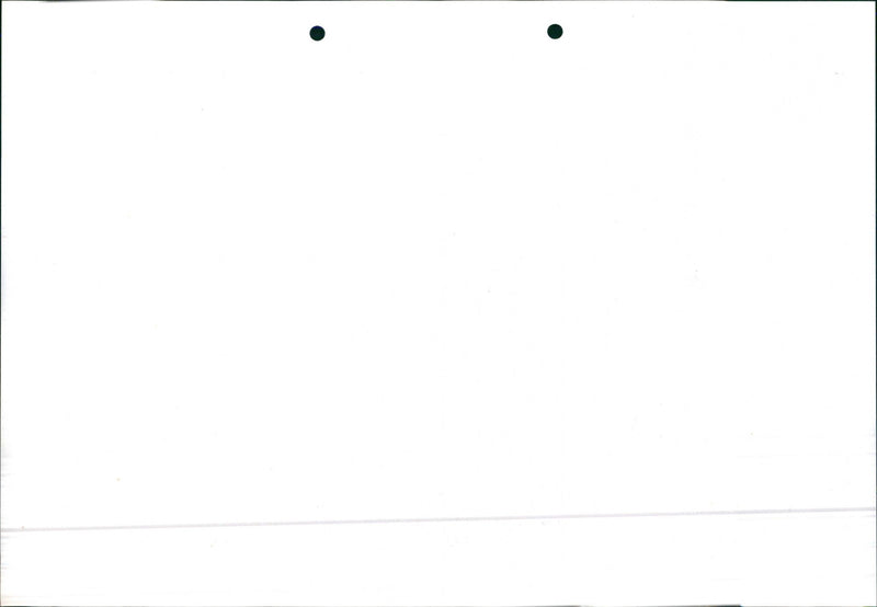 Mercedes Benz 200/ 200 T/ 230 E/ 230 CE/ 230 TE - Vintage Photograph