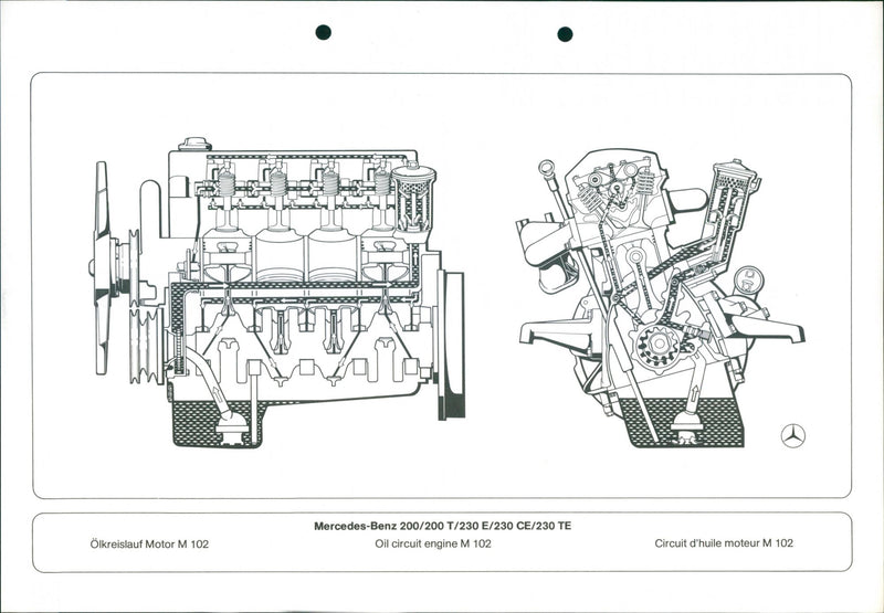 Mercedes Benz 200/ 200 T/ 230 E/ 230 CE/ 230 TE - Vintage Photograph