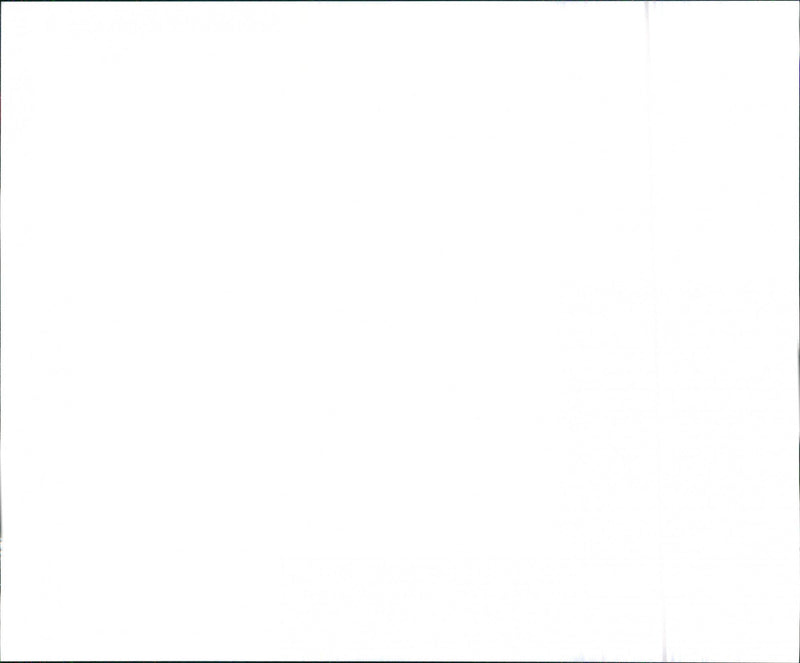 1996 Audi A4 - Vintage Photograph