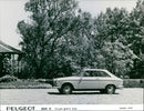 Peugeot 204 Coupe Grand Luxe 1968 - Vintage Photograph