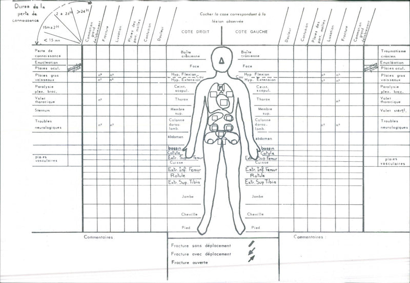 Renault Vehicular Safety Questionnaire and Diagram - Vintage Photograph