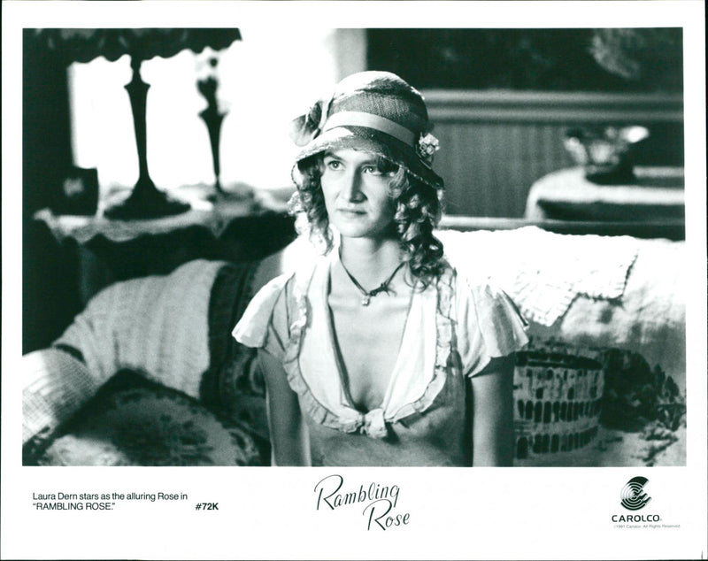 Laura Dern - Vintage Photograph