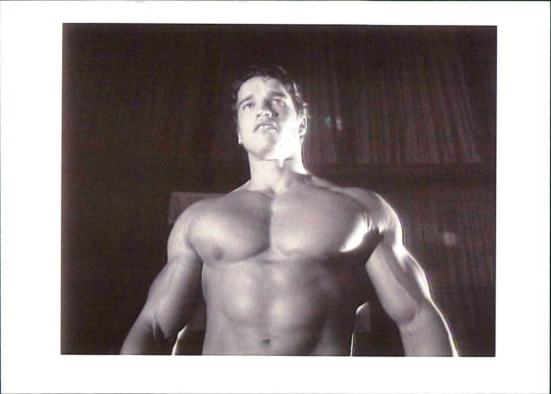 Arnold Schwarzenegger - Vintage Photograph