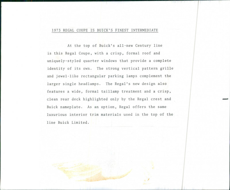 1973 Buick Regal Coupe - Vintage Photograph