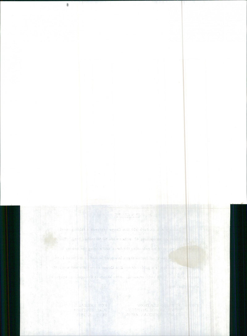 Buick Skylark - Vintage Photograph