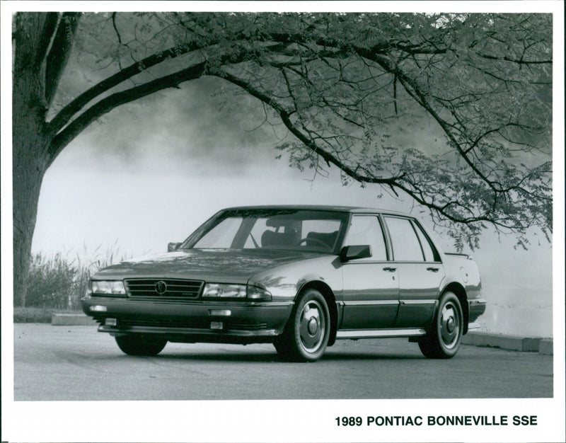 Pontiac, Bonneville SSE, 1989 - Vintage Photograph