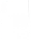 Oldsmobile Series 89 - Vintage Photograph