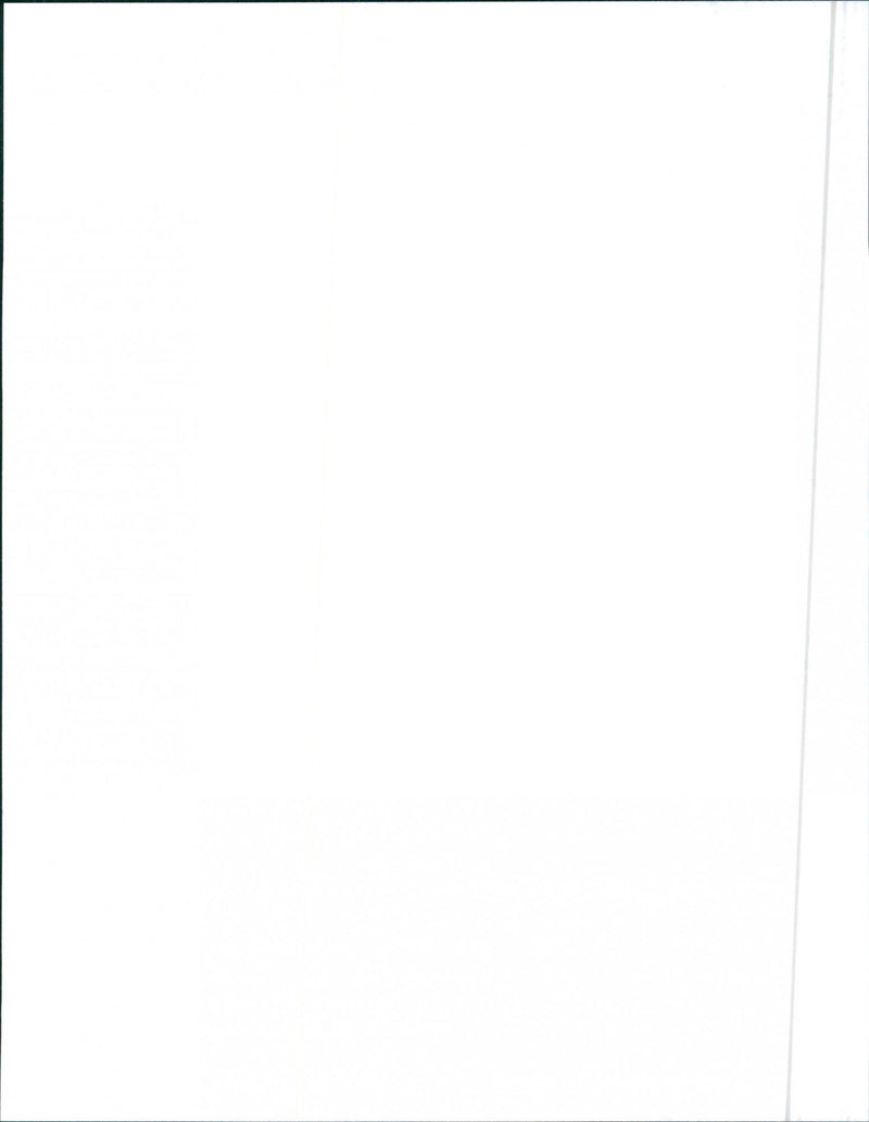 1988 Cadillac Cimarron - Vintage Photograph