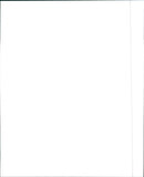 1988 Cadillac Fleetwood Sixty Special - Vintage Photograph