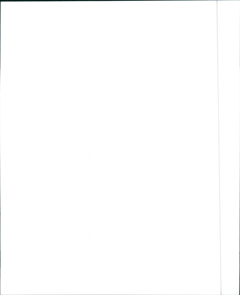 1988 Cadillac Fleetwood Sixty Special - Vintage Photograph