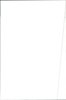 1984 Alfa Romeo 90 - Vintage Photograph