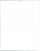 Oldsmobile Cutlass Salon - Vintage Photograph