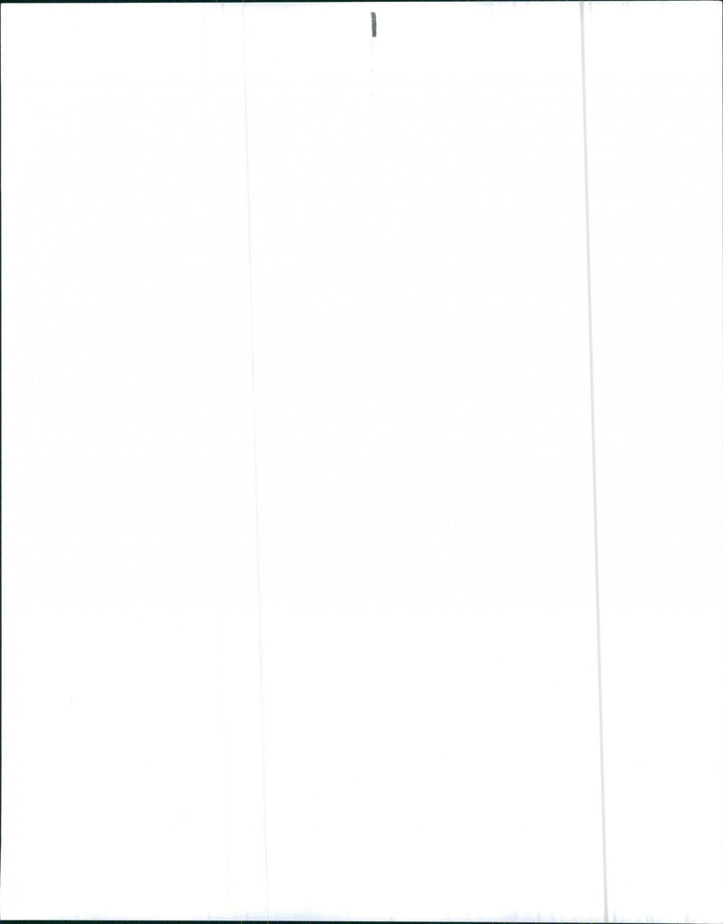 Oldsmobile Cutlass Salon - Vintage Photograph