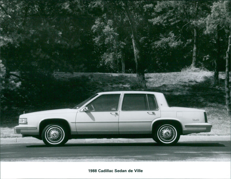 1988 Cadillac Sedan de Ville - Vintage Photograph