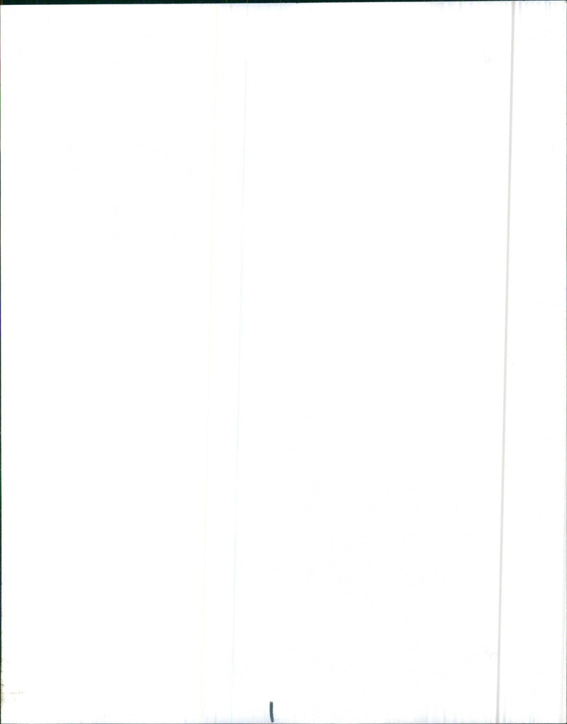 1973 Chevrolet Monte Carlo - Vintage Photograph