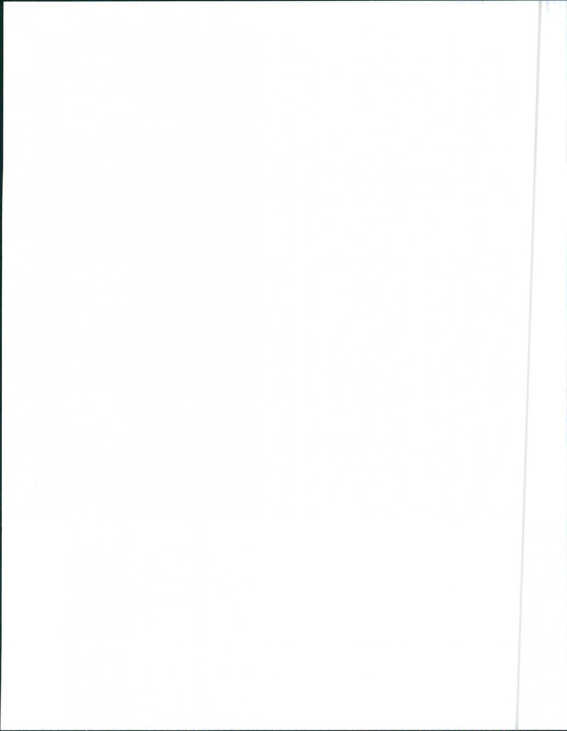 1988 Cadillac Brougham - Vintage Photograph