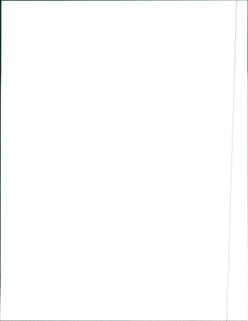 1988 Cadillac Brougham - Vintage Photograph