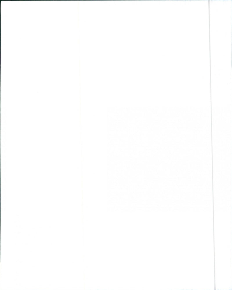 1988 Cadillac Sedan de Ville - Vintage Photograph